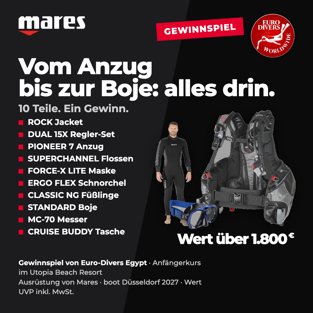 V4 Checkliste
